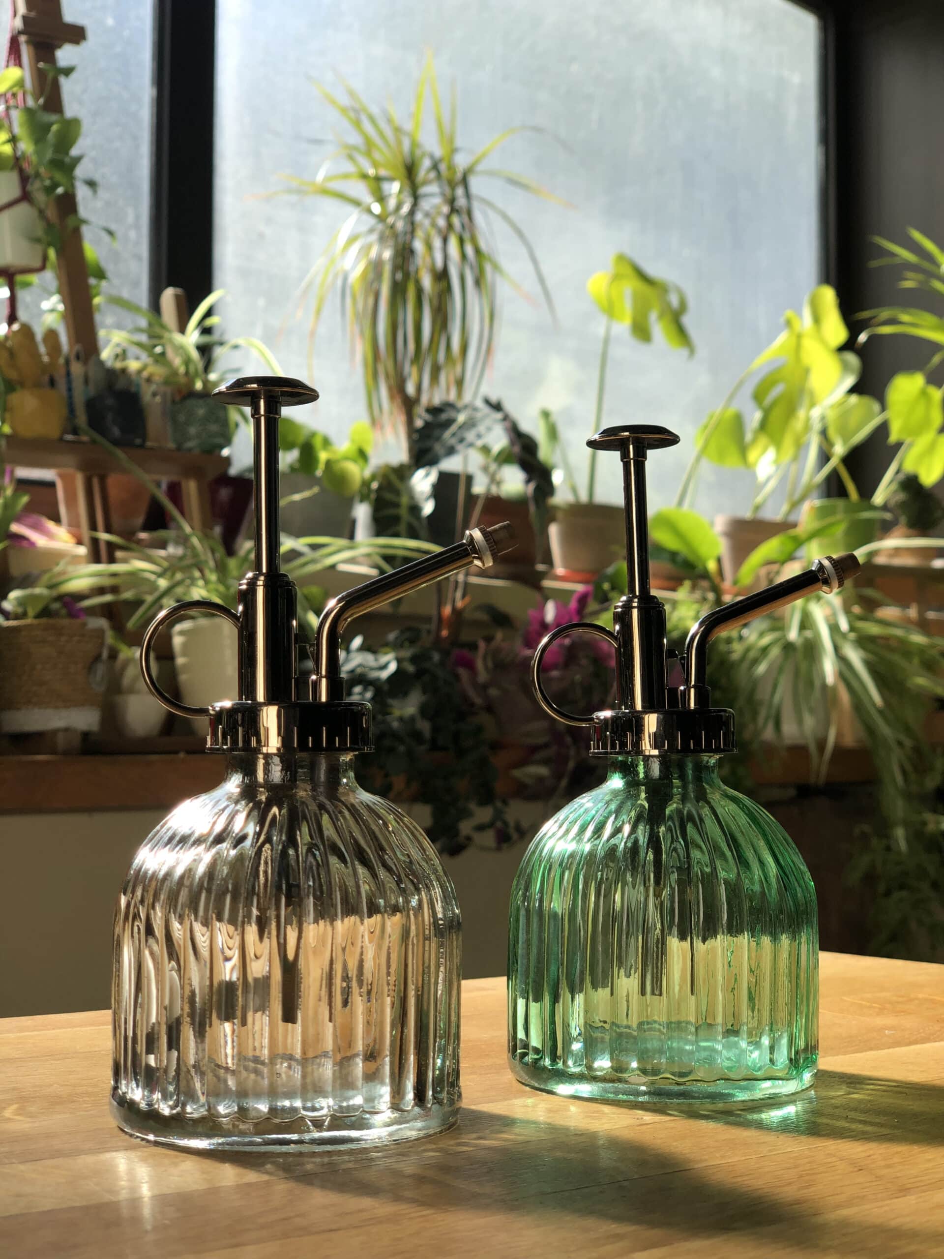 Vaporisateur en verre Garden pour plantes d'intérieur - nature