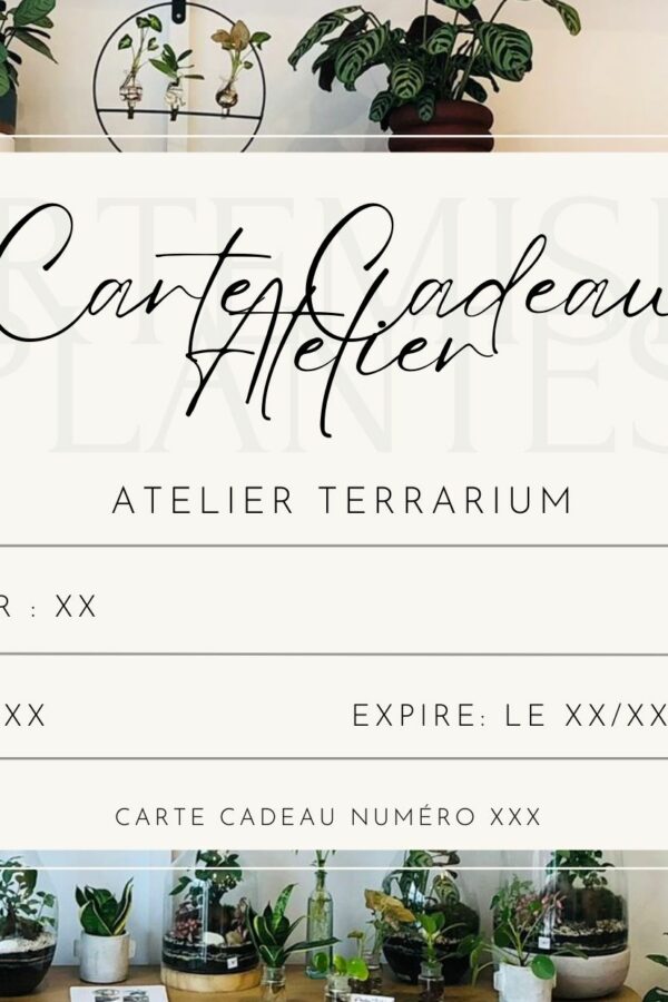 Carte Cadeau Atelier Terrarium Recto