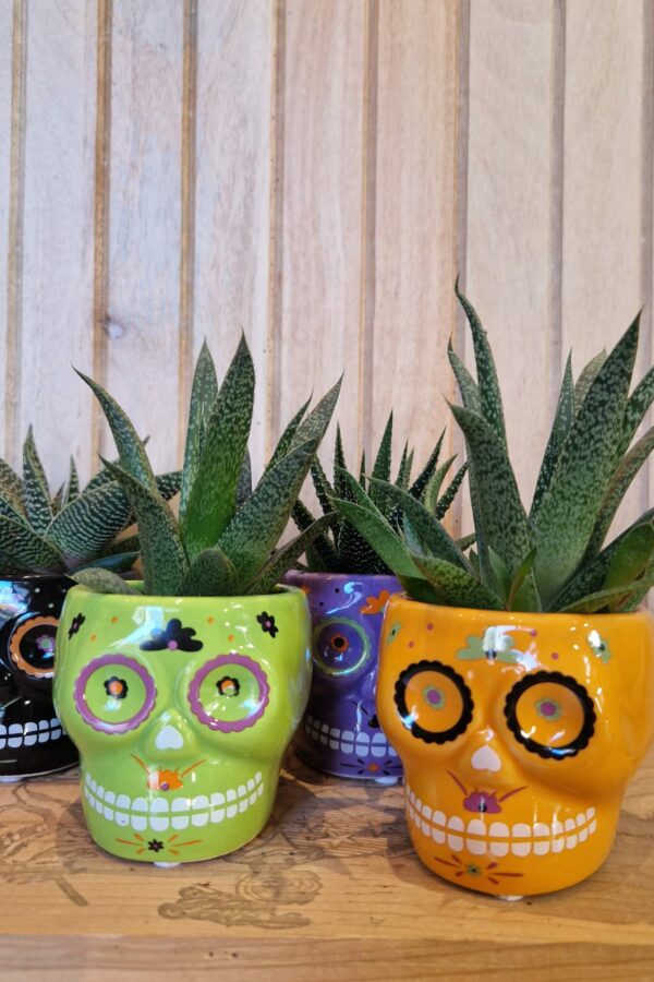 Cache pot Calaveras