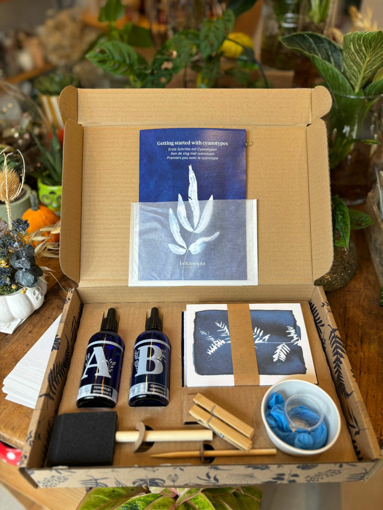 Coffret Cyanotype